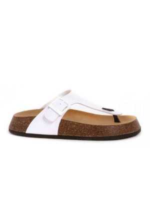 Infradito Scholl Anais 24 SL.F311761065 | Scholl | 