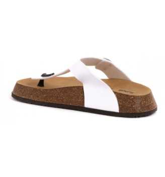 Infradito Scholl Anais 24 SL.F311761065 | Scholl | 