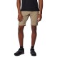 Pantaloni Convertibili Columbia Silver Ridge™ Utility Uomo Beige | Columbia | 