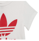 Completo Adidas Adicolor Set Infant Rosso Scarlatto E Bianco | Adidas | 