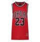 Canotta Nike Jordan 23 Flight Bordeaux 95A773-R78