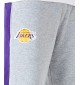 Pantaloncini New Era Nba Mesh Panel Oversize Los Angeles Lakers Grigio E Viola | New Era | 