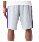 Pantaloncini New Era Nba Mesh Panel Oversize Los Angeles Lakers Grigio E Viola | New Era | 