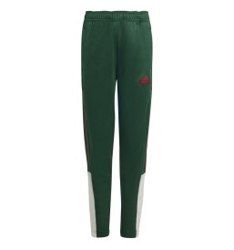 Pantaloni Adidas Tiro Nations Pack Verde IW0900