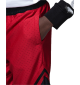 Pantaloncini Nike Jordan Air Diamond Bermuda Rosso | Jordan | 