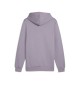 Felpa Puma Con Cappuccio Essential 2 Col Small Logo Fleece Violetto | Puma | 