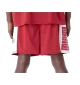 New Era Pantaloncini NBA Graphic Miami Heat Rosso | New Era | 