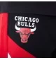 New Era Pantaloncini NBA Panel Chicago Bulls Nero | New Era | 