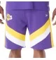 New Era Pantaloncini NBA Panel Los Angeles Lakers Viola 60596244