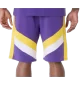 New Era Pantaloncini NBA Panel Los Angeles Lakers Viola | New Era | 