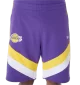 New Era Pantaloncini NBA Panel Los Angeles Lakers Viola | New Era | 