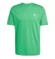 Adidas T-shirt Trefoil Essentials Verde JN0235