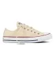 Converse Scarpe Chuck Taylor All Star Classic Avorio Naturale 159485C