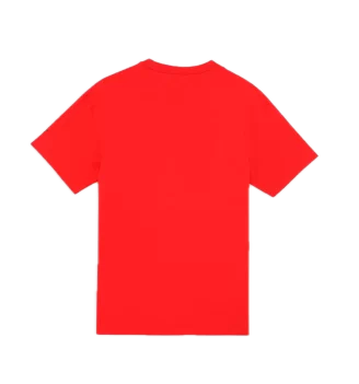 Puma T-shirt Rival Rage IV Hoops Rosso | Puma | 