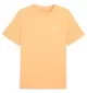 Puma T-shirt Essentials Small Logo N. 1 Arancione Pesca 682535-41