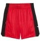Puma Pantaloncini Rival Rage Heritage Mesh Rosso 630821-11