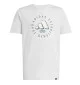 Adidas T-shirt Fun Junior Grigio Chiaro JI6687