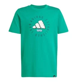 Adidas T-shirt Fun Junior Verde JI6689