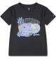 Converse T-shirt Chuck Taylor + Fruit Nero 4CG819-GDA