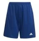 Adidas Pantaloncini Training Essentials Junior Blu Scuro JJ1065