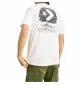 Converse T-shirt Graphic Tree Bianco 10027666-A02 | Converse | 