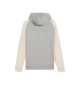 Puma Tuta Full Zip Cappuccio Pumatech Beige Grigio | Puma | 