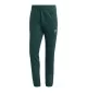Adidas Pantaloni Trefoil Essentials M Aurora Ivy Verde Scuro JZ3585