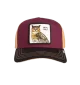 Goorin Bros Cappello Tricolor Owl Real Talk Marrone Rosso Beige | Goorin Bros | 