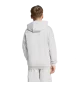 Adidas Felpa Cappuccio Adidas x Minecraft Jr Grigio | Adidas | 