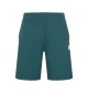 Converse Pantaloncini Chuck Taylor All Star Rubber Plant Verde Blu