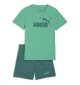 Puma T-shirt Ess No.1 Logo Ps Verde 685240-40