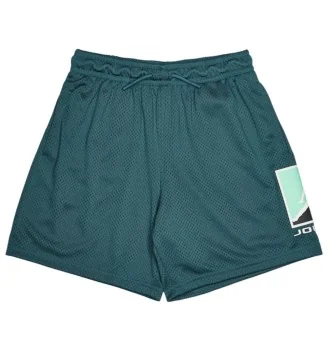 Jordan Pantaloncini Brooklyn Big Logo Mesh Verde Turchese 95F475-EA0
