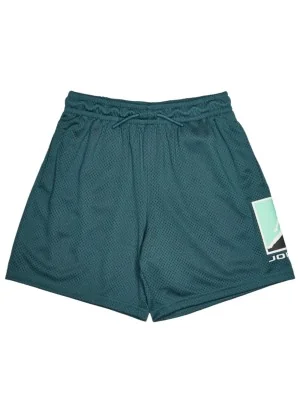 Jordan Pantaloncini Brooklyn Big Logo Mesh Verde Turchese 95F475-EA0