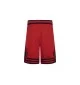 JDB Jordan Pantaloncini Df Sport Diamond Rosso | Jordan | 